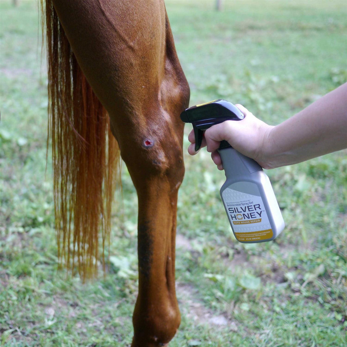 Rapid Wound Repair Gel Spray for Pets F82502