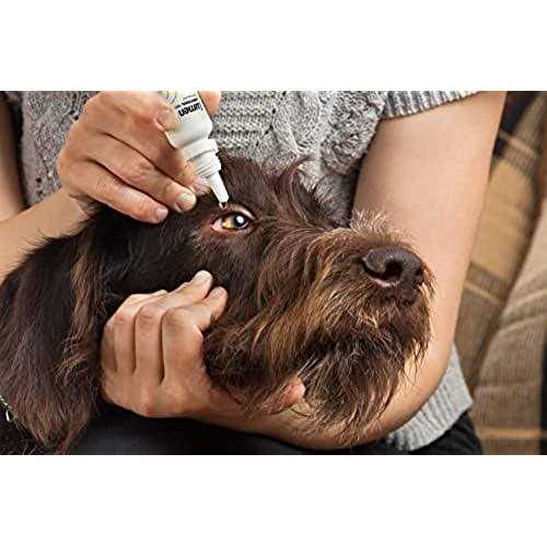 Pet Eye Drops for Cataracts Vision Clarity E43658