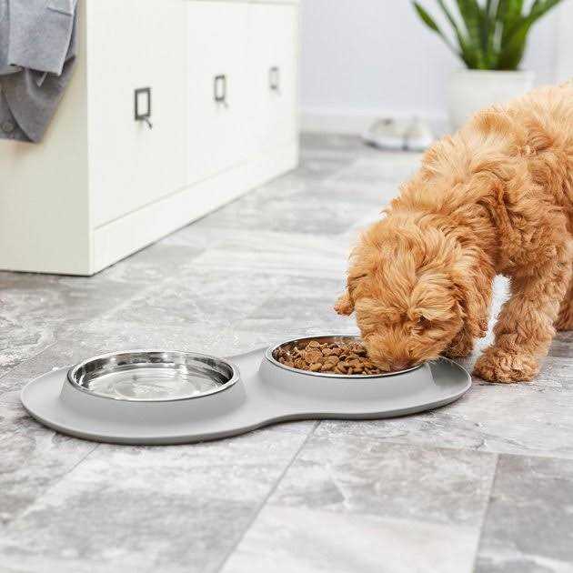 Double Stainless Steel Pet Bowl with Silicone Mat C338872