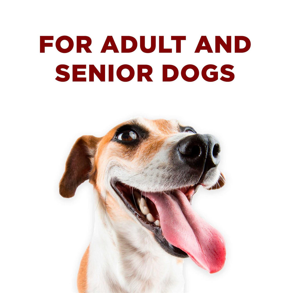 Dog Training Treats Bites X249222