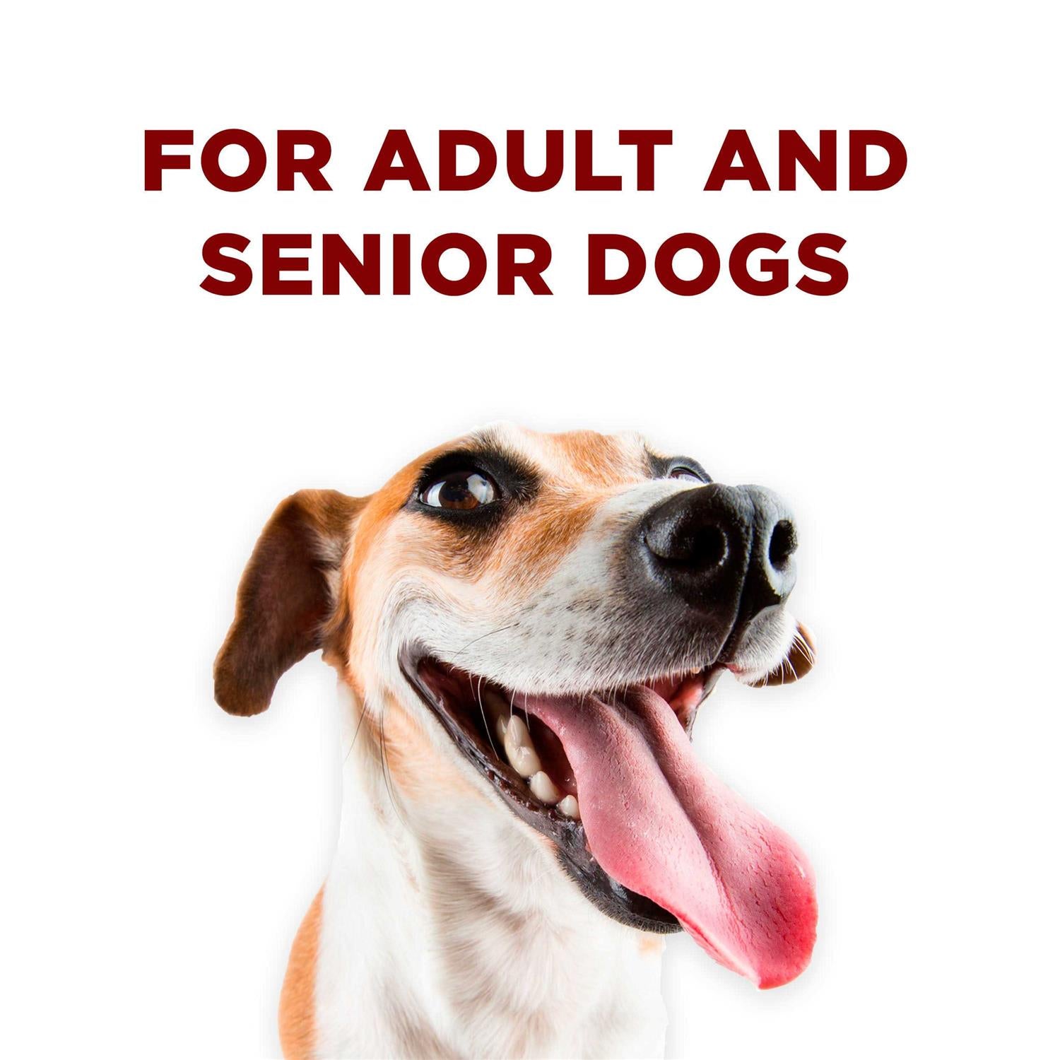 Dog Training Treats Bites X249222