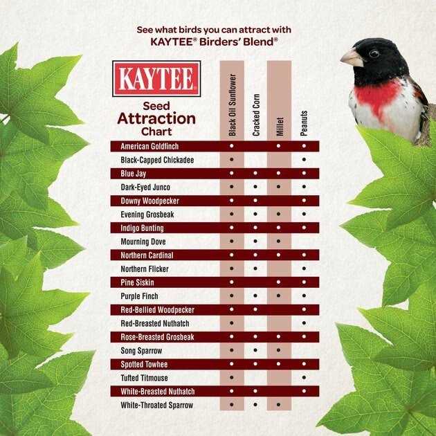 Wild Bird Food B4783