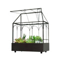YIMORENcE V Large Tall glass Plant Terrarium – House Succulent Terrarium Kit with Lip and Tray - Pet Supplies online store