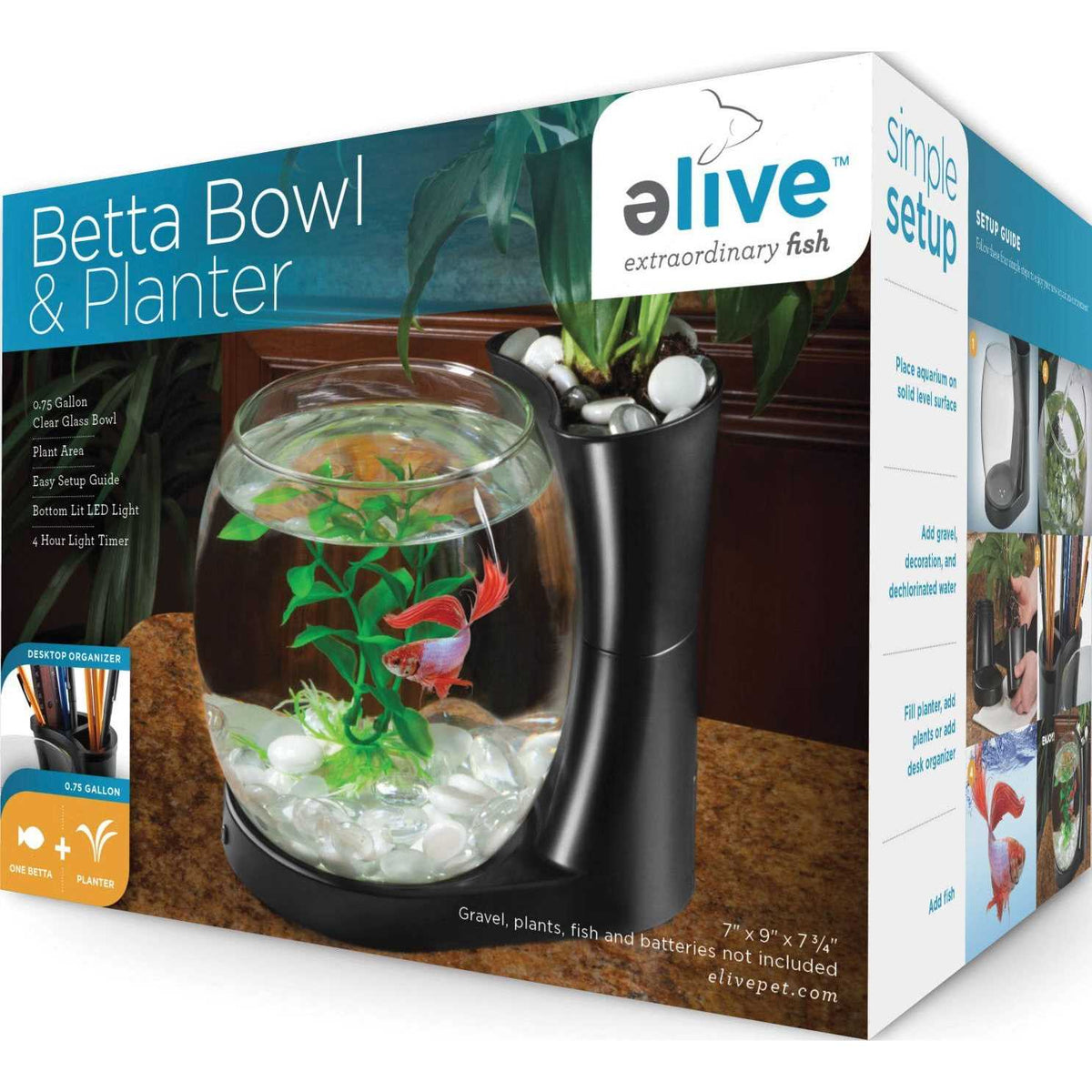 Betta Fish Bowl with Planter M99448