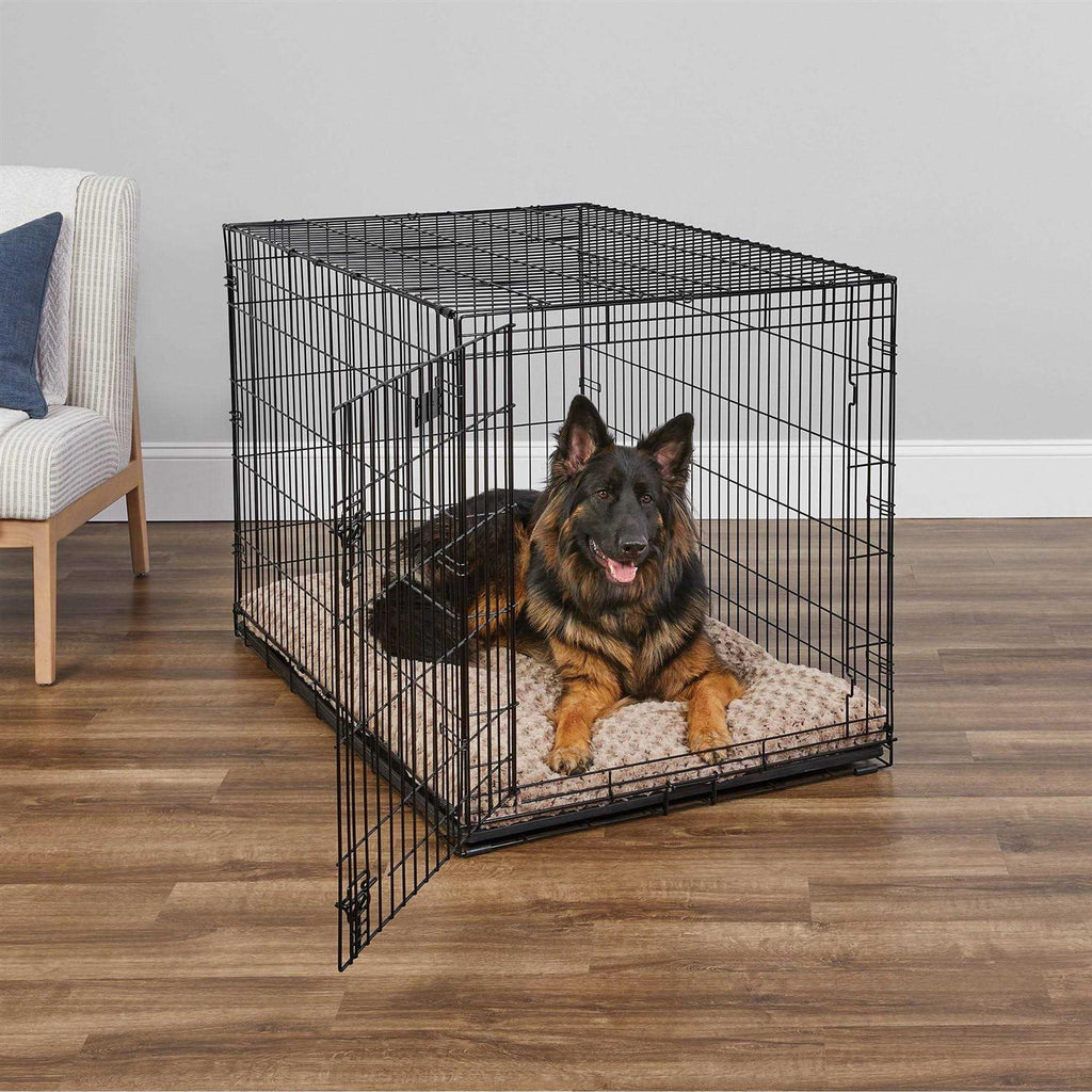 Midwest iCrate Double Door Dog Crate - Pet Supplies online store