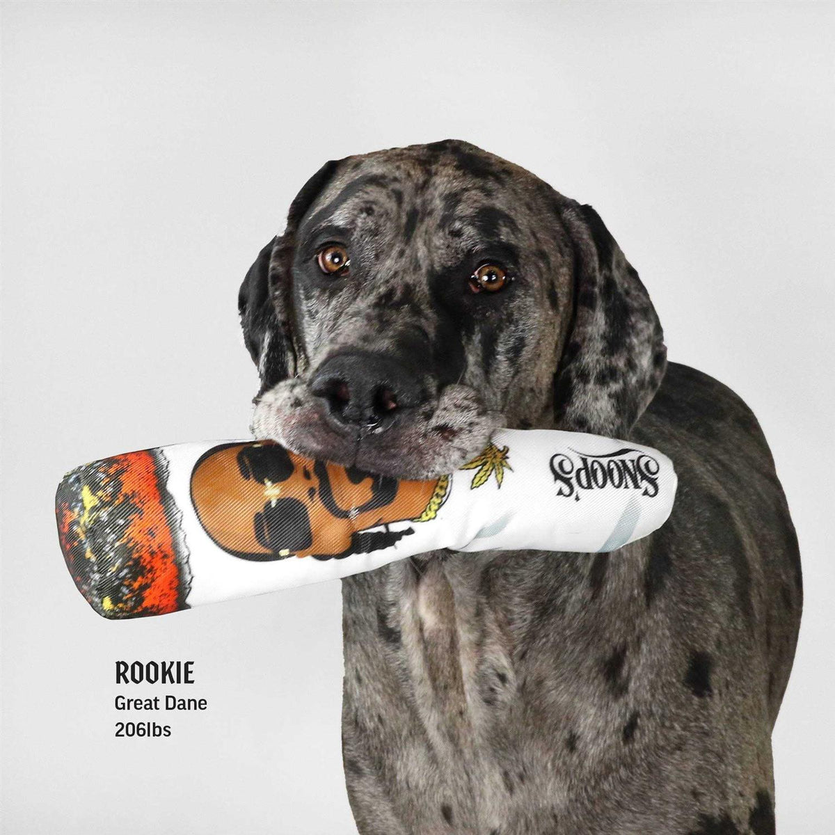 Dog Toy M1285
